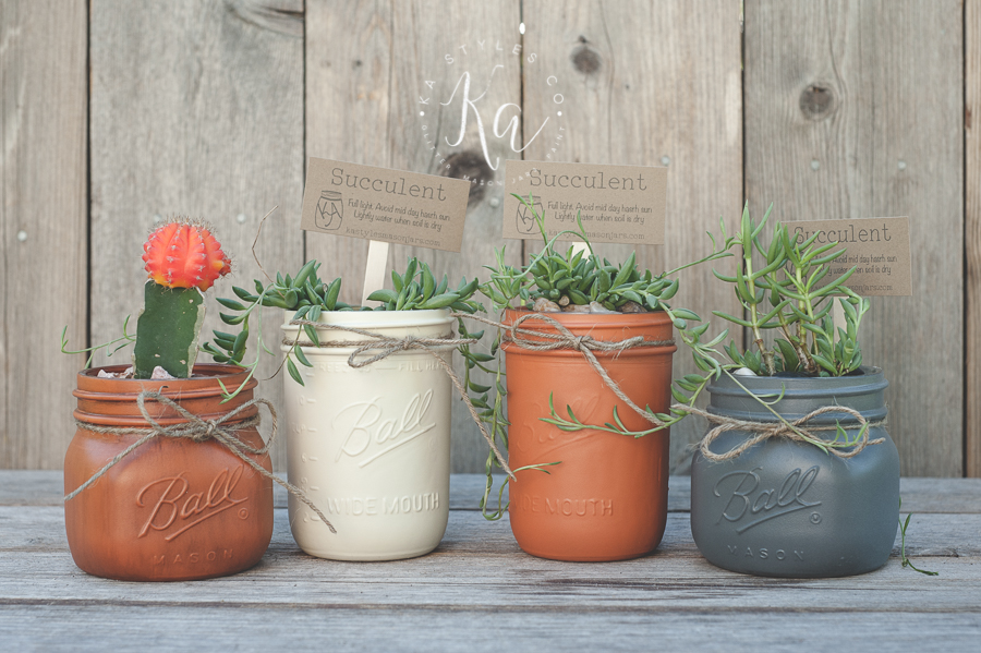 succulent-mason-jars